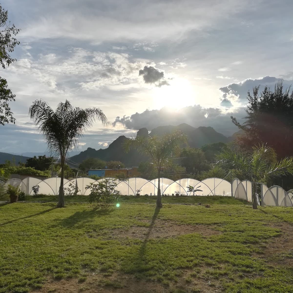 Foto de Jardin De Eventos El Mezquite.