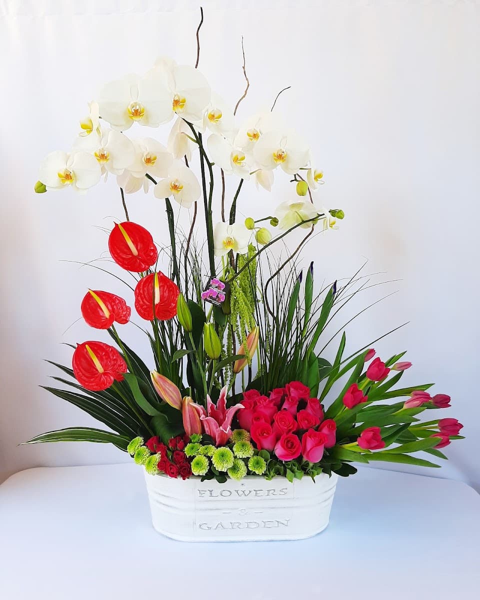 Foto de Floreria Holandesa