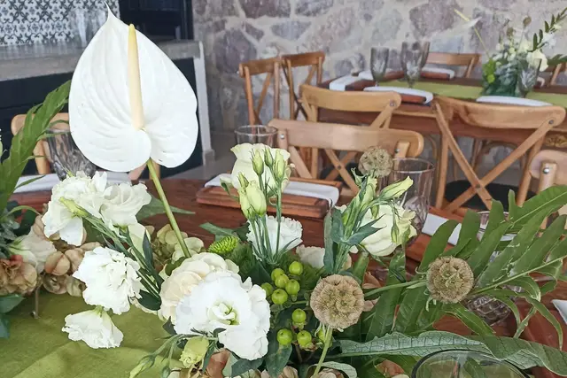 Muestra del servicio 2