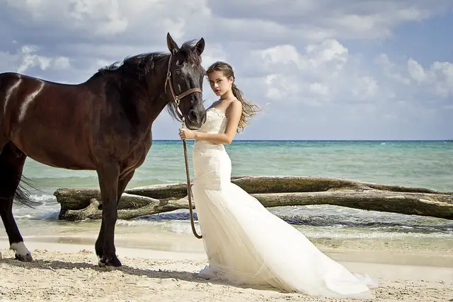 Fotografía y Video — Alebrije Photography, Cancún