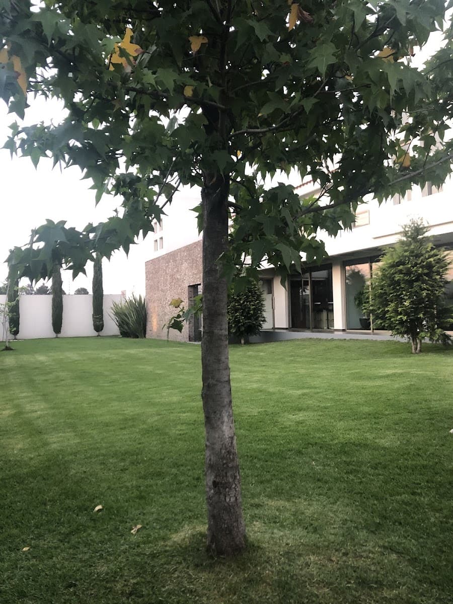 Muestra del servicio 1