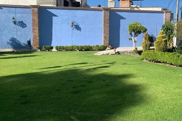 Muestra del servicio 3