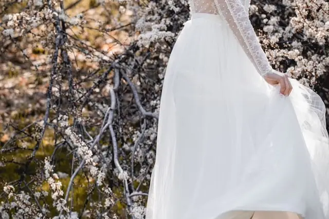 Accesorios — Zapatos Elenovari, San Luis Potosí