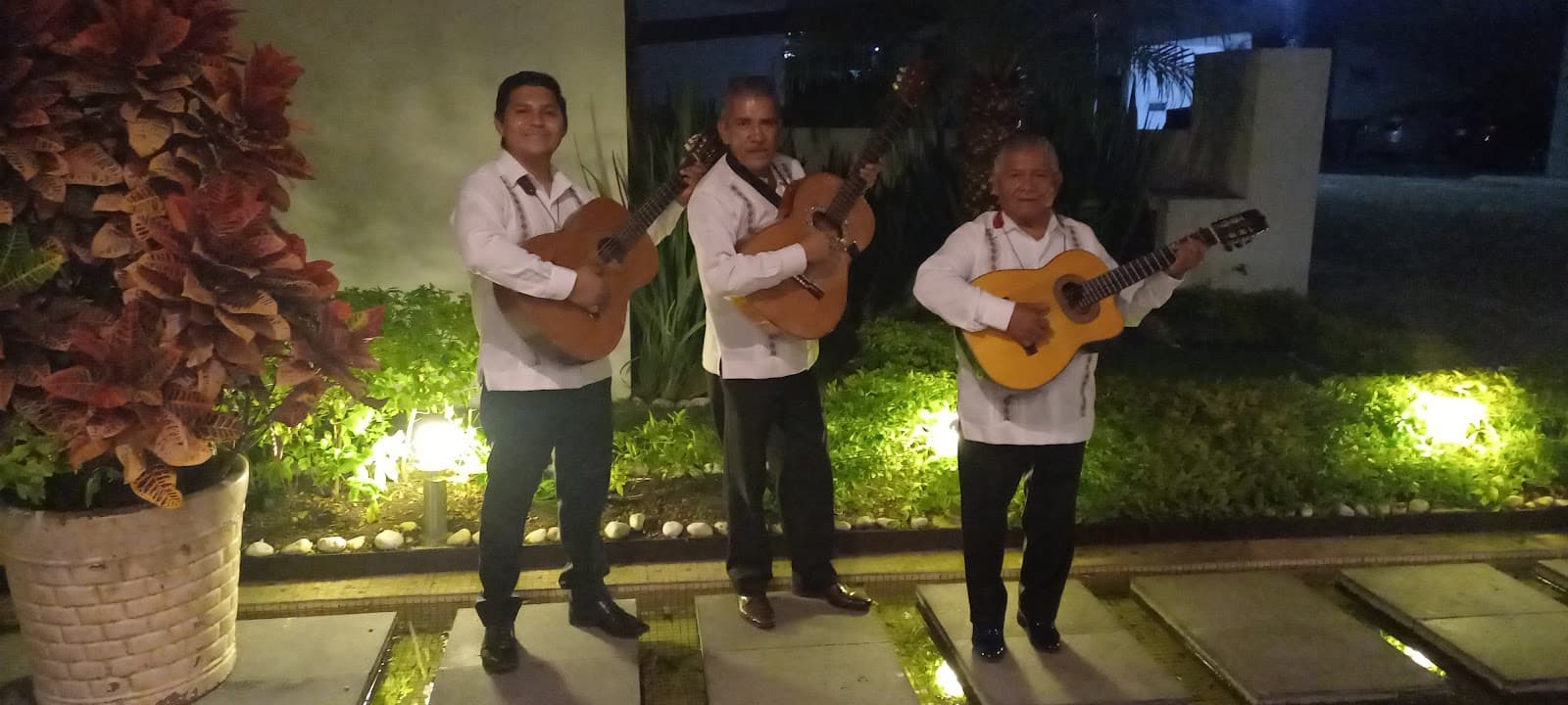 Muestra del servicio 1