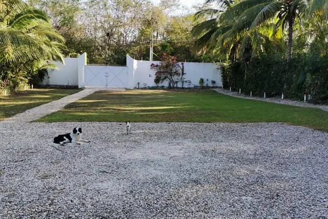Muestra del servicio 1