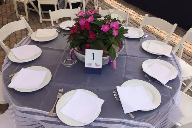 Muestra del servicio 3