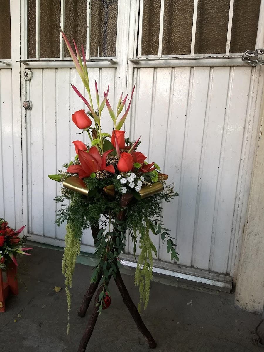 Foto de Florería Jazmín
