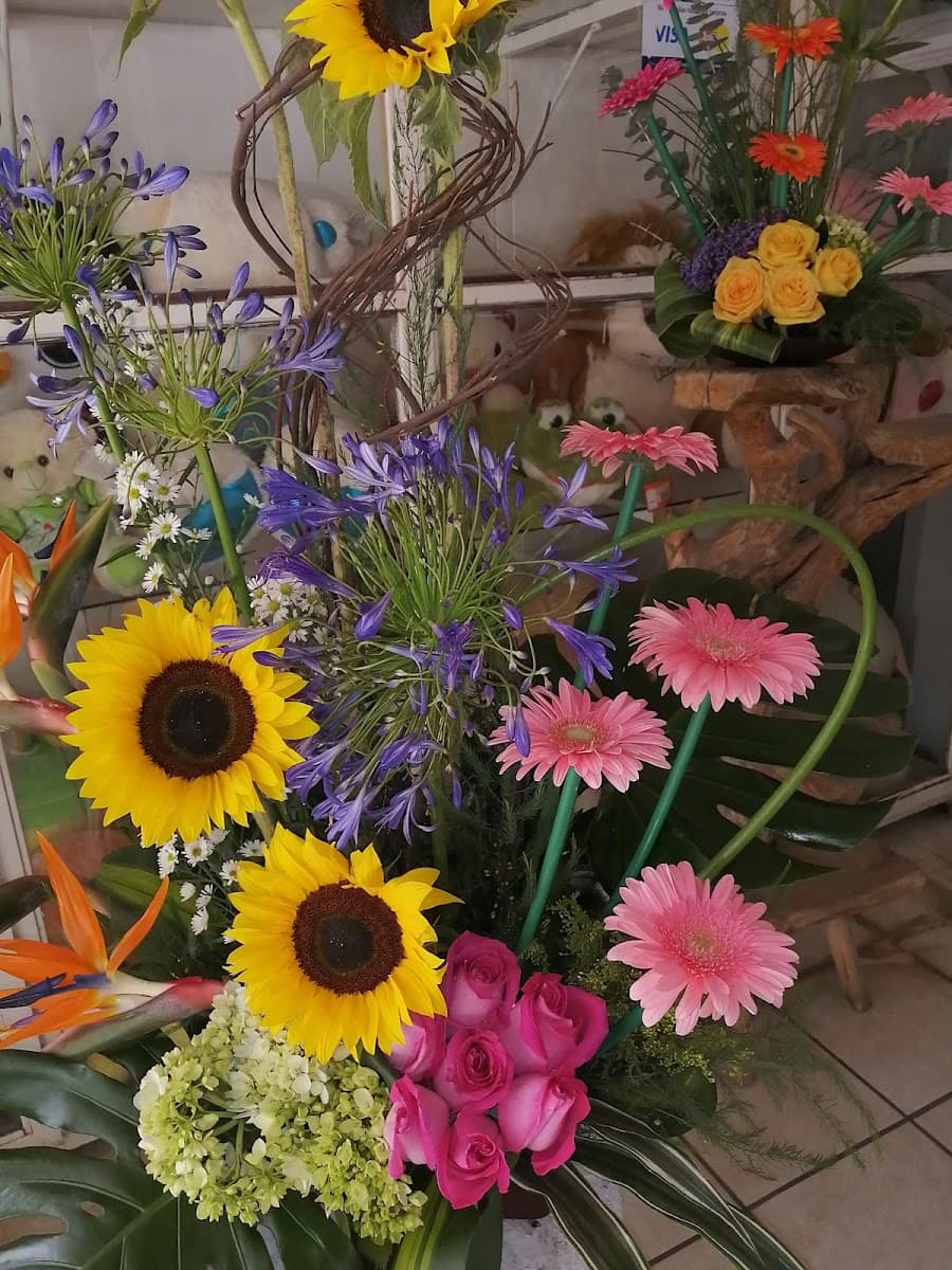 Foto de Florería Carmelita