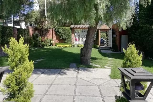 Muestra del servicio 1