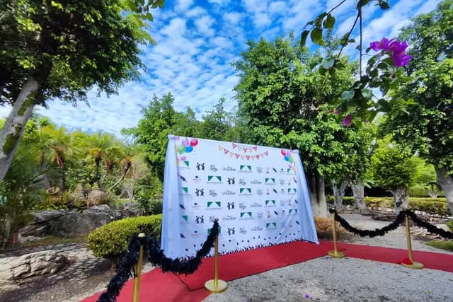 Entretenimiento — Photo Party, Cuernavaca