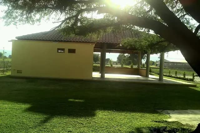 Muestra del servicio 1