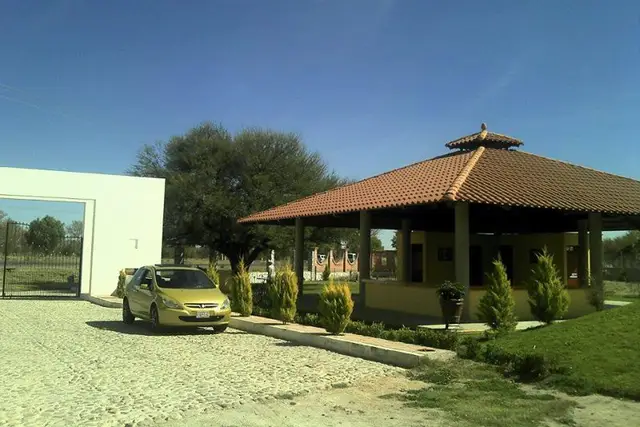 Muestra del servicio 3