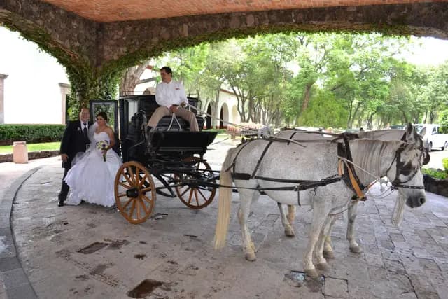 Fotografía y Video — Crevi Producciones, Querétaro