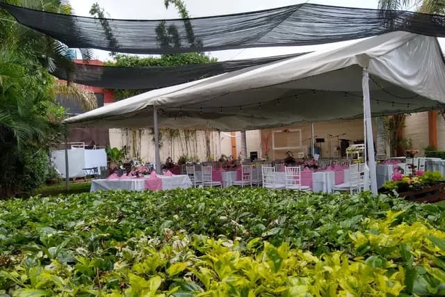 Muestra del servicio 2