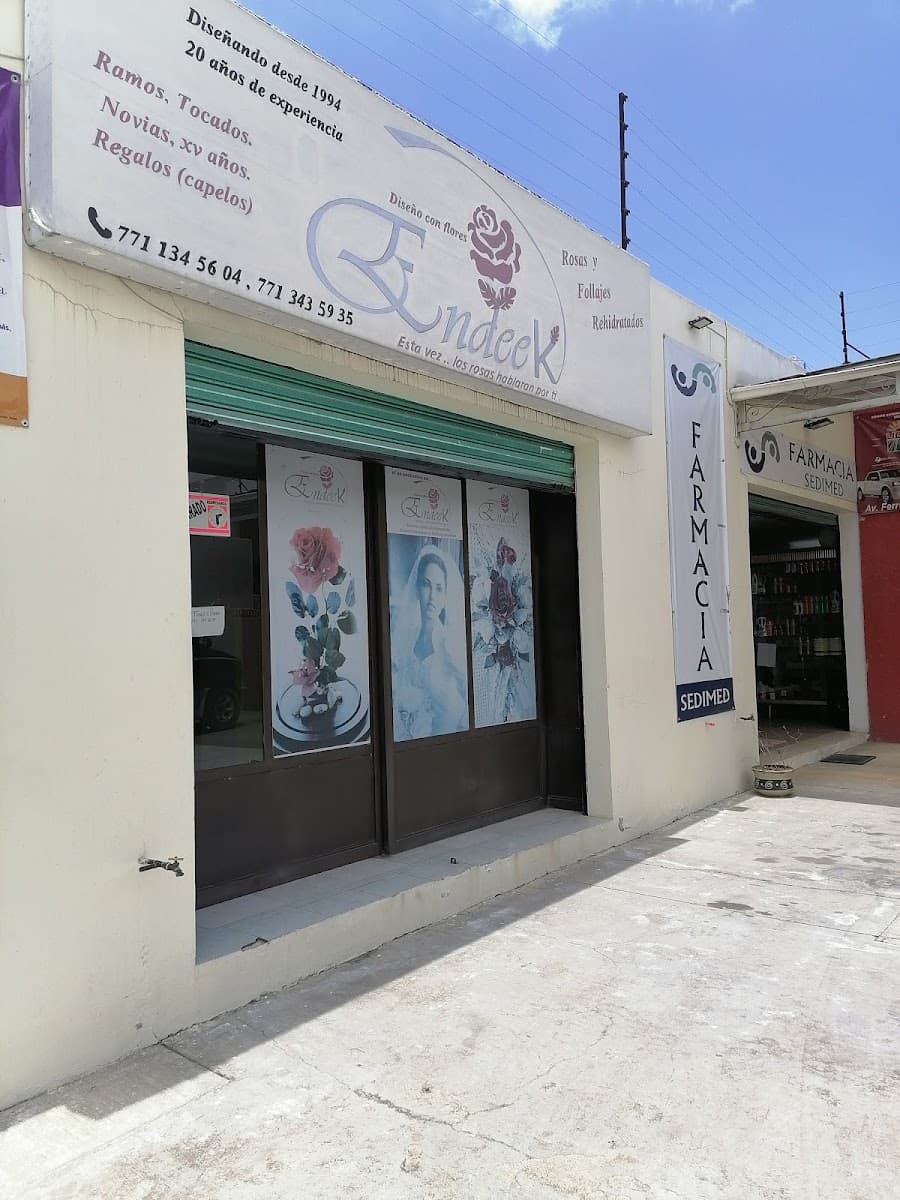 Muestra del servicio 1