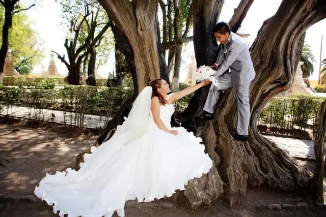 Fotografía y Video — Tepotzotlan Agency, Tepotzotlán