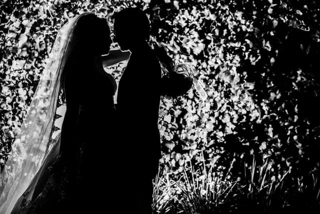 Wedding Planners — Agentes de Negro México, Morelia
