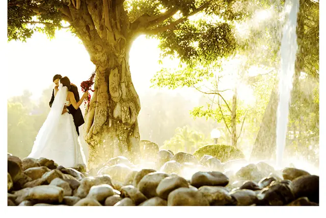 Fotografía y Video — Toms Videographer, Puerto Vallarta