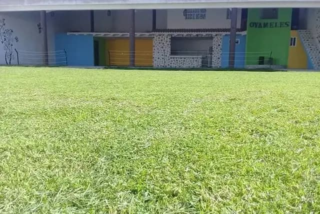 Muestra del servicio 1