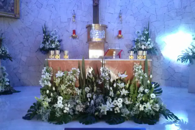 Muestra del servicio 1