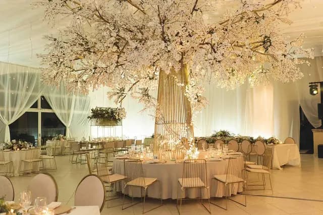 Wedding Planners — Mayakalo Event Planner, Zapopan