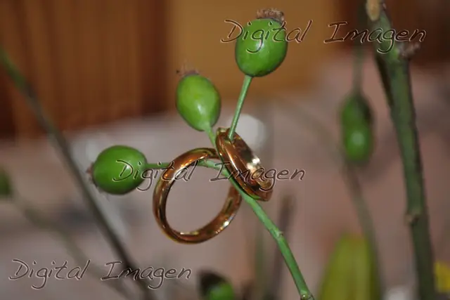 Fotografía y Video para bodas en Ciudad de México — Digital Imagen, Ciudad de México