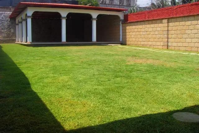 Muestra del servicio 1
