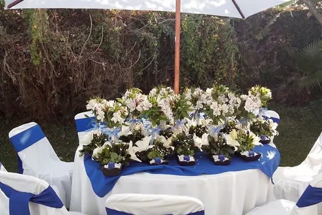 Muestra del servicio 1