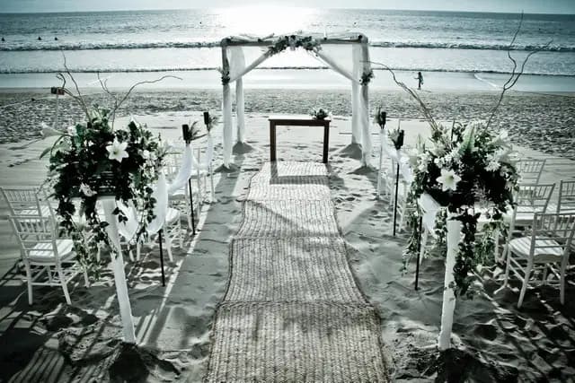 Fotografía y Video — Paparazzi Photostudio, Nuevo Nayarit