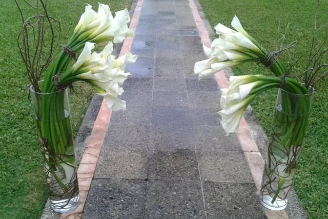 Muestra del servicio 1