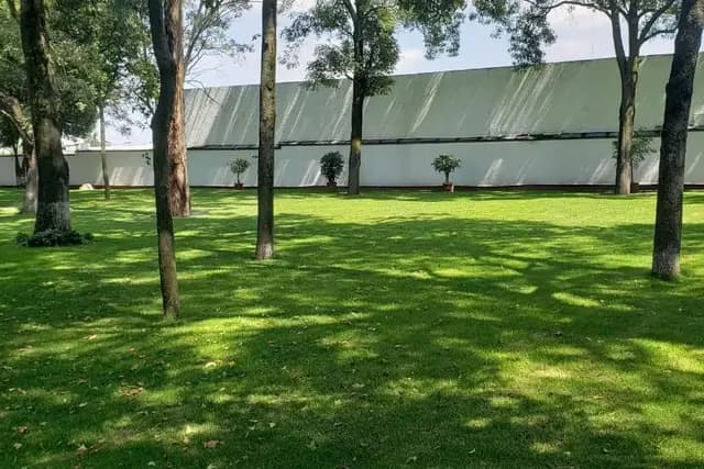 Muestra del servicio 3