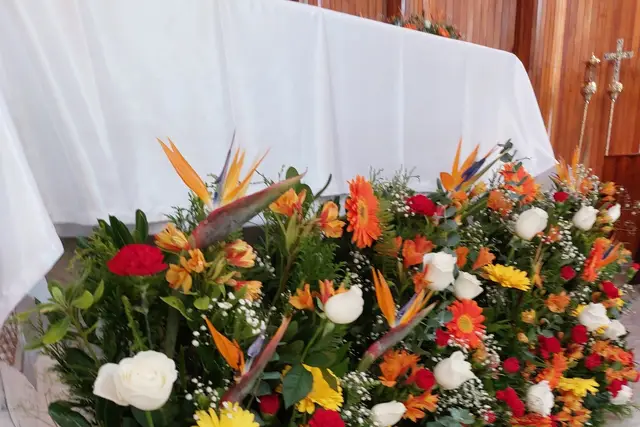 Muestra del servicio 2