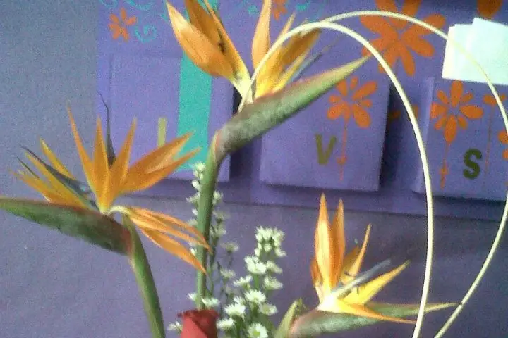 Decoración y Flores para bodas en Culiacán — Florería Emily, Culiacán