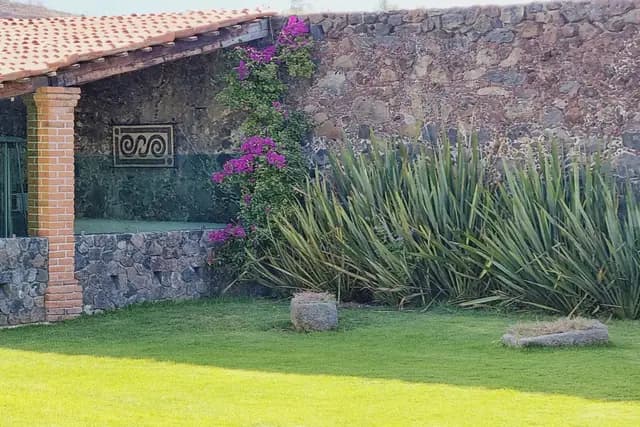 Muestra del servicio 2