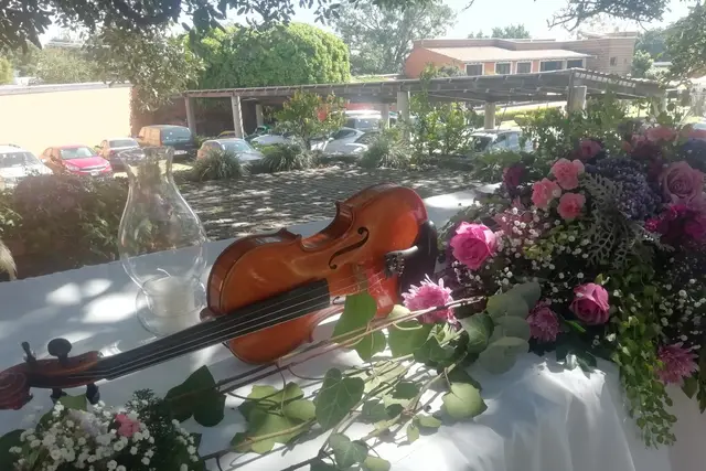 Muestra del servicio 2