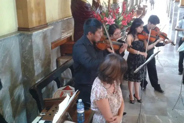 Muestra del servicio 1
