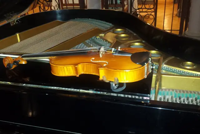 Música — Autumn Music, Apodaca