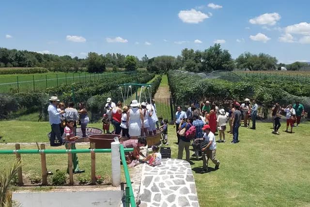 Venues — Vina Tx,
