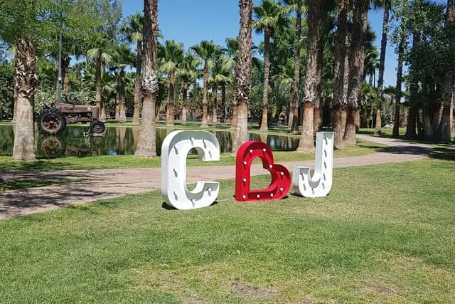 Decoración y Flores — Letras Luminosas, Torreón