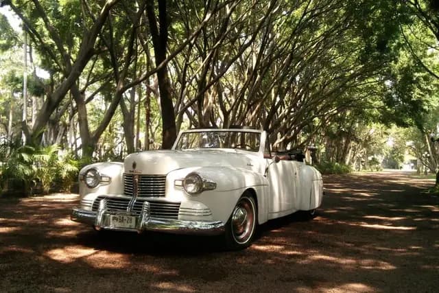 Traslado Novios para bodas en Ciudad de México — Princess, Ciudad de México