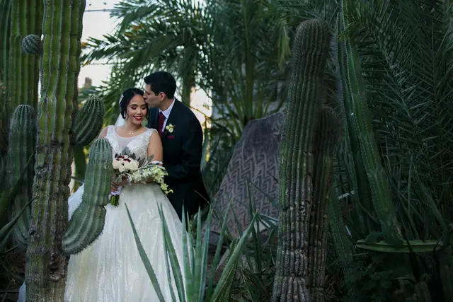 Fotografía y Video — Dwall Fotografia Y Video, Hermosillo