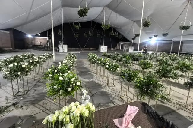 Decoración y Flores — Romashka Deco, Ciudad de México