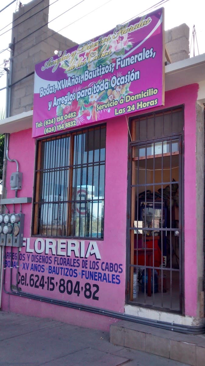 Muestra del servicio 1