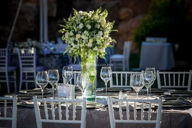 Decoración y Flores — Petals and Dreams, Querétaro