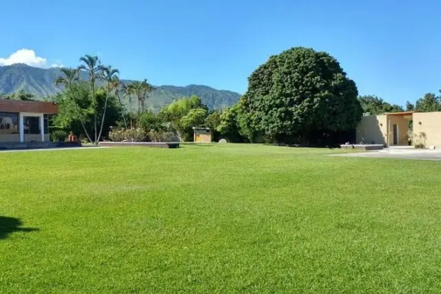 Muestra del servicio 1