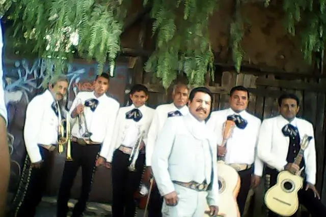 Muestra del servicio 2