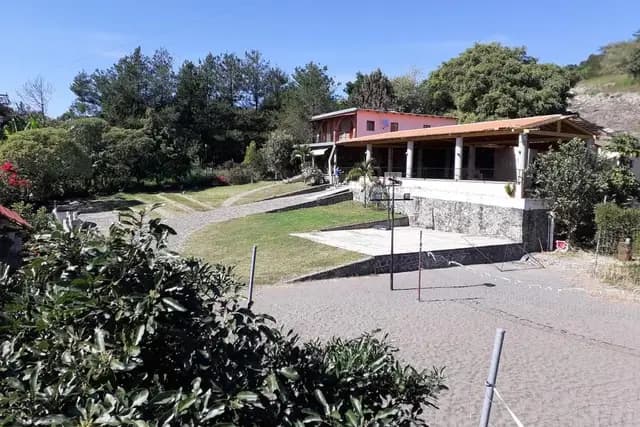Muestra del servicio 1