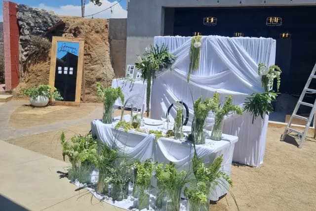 Decoración y Flores — Rosa Bugambilia, Ensenada