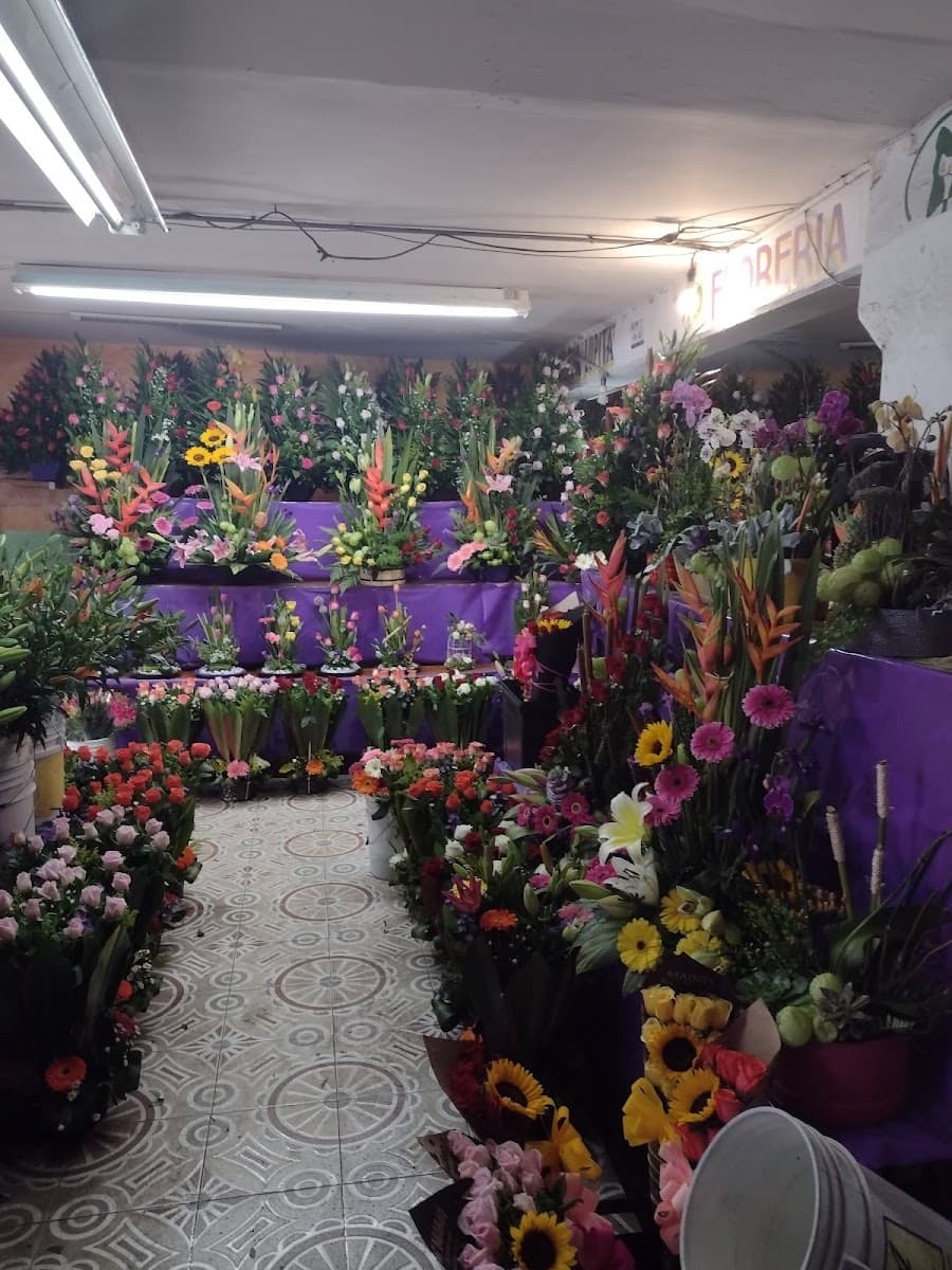 Foto de Floreria Lupita