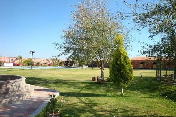 Muestra del servicio 2